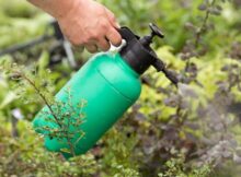 désherber totalement son jardin
